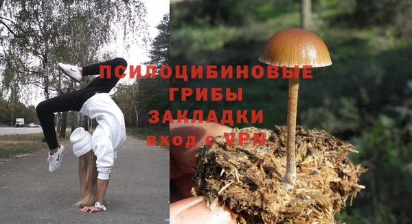 Альфа ПВП Нея