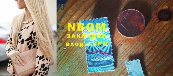 стаф Новокубанск