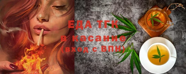 стаф Новокубанск