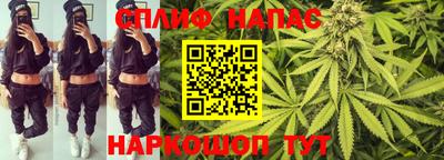 мяу мяу мука Абакан