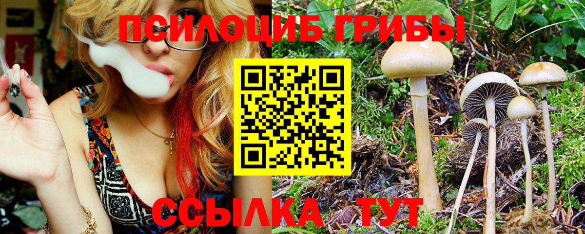 Мегион  Галлюциногенные грибы мицелий  Вход с VPN  Псилоцибиновые грибы прущие грибы 