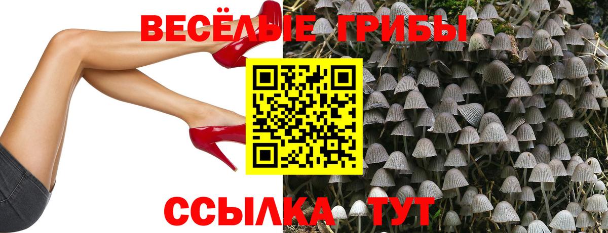 Галлюциногенные грибы мицелий Мегион