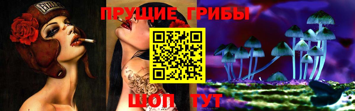 Галлюциногенные грибы Psilocybine cubensis Мегион